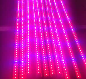 �U�蓝�?:2植物生长灯管参数作用