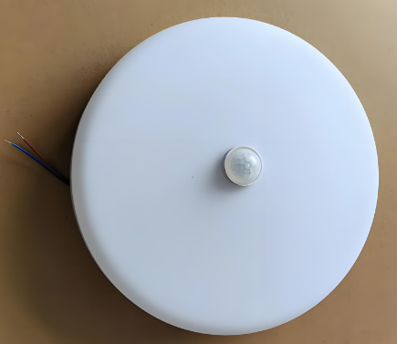 綰㈠鎰熷簲led鍚擱《鐏?png