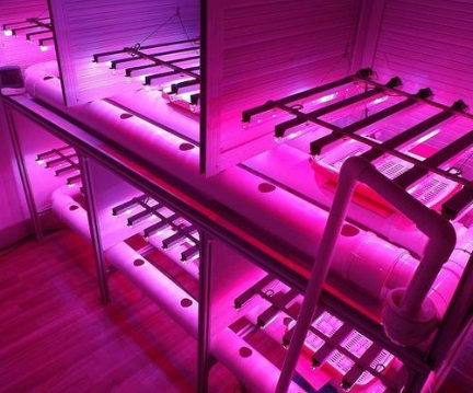 U蓝光植物生长灯?png